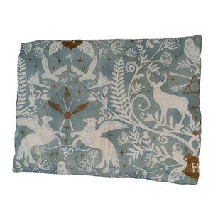 Harry Potter Pottery Barn Teen Pillow Sham 20" X 26" Cotton Blend Mystical White